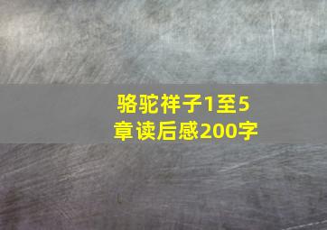 骆驼祥子1至5章读后感200字