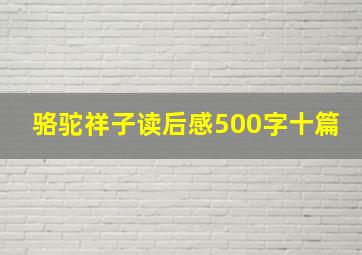 骆驼祥子读后感500字十篇