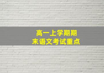 高一上学期期末语文考试重点