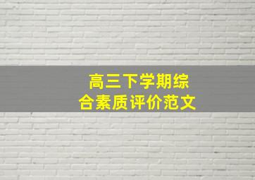 高三下学期综合素质评价范文