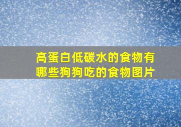 高蛋白低碳水的食物有哪些狗狗吃的食物图片