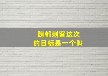 魏都刺客这次的目标是一个叫