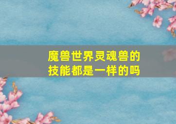 魔兽世界灵魂兽的技能都是一样的吗