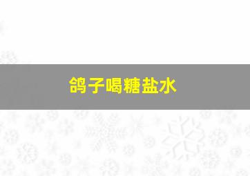 鸽子喝糖盐水