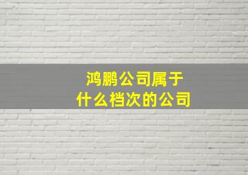 鸿鹏公司属于什么档次的公司