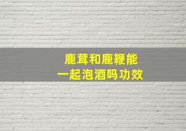 鹿茸和鹿鞭能一起泡酒吗功效