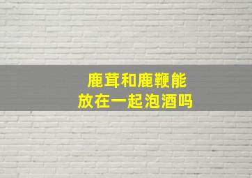 鹿茸和鹿鞭能放在一起泡酒吗