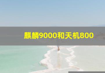 麒麟9000和天机800