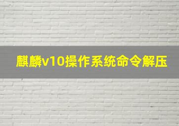 麒麟v10操作系统命令解压