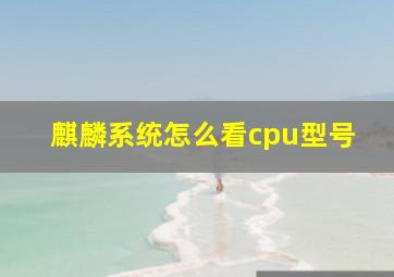 麒麟系统怎么看cpu型号