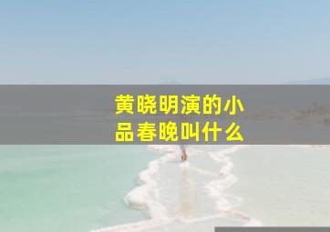 黄晓明演的小品春晚叫什么