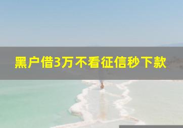 黑户借3万不看征信秒下款