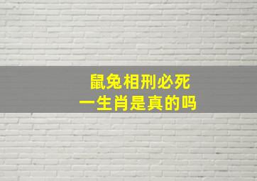 鼠兔相刑必死一生肖是真的吗