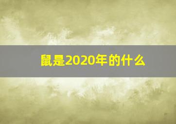 鼠是2020年的什么