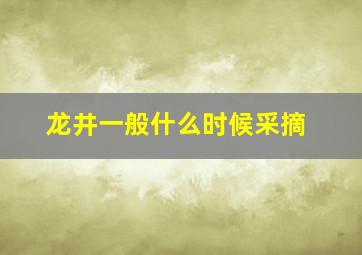 龙井一般什么时候采摘