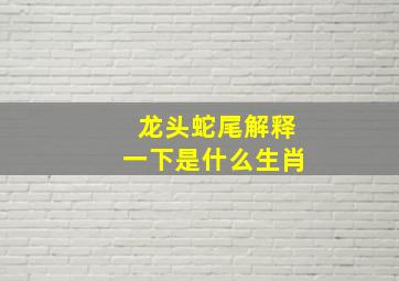 龙头蛇尾解释一下是什么生肖