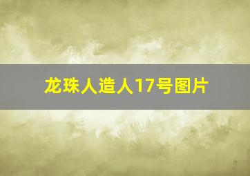 龙珠人造人17号图片