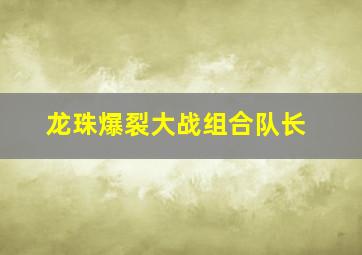 龙珠爆裂大战组合队长