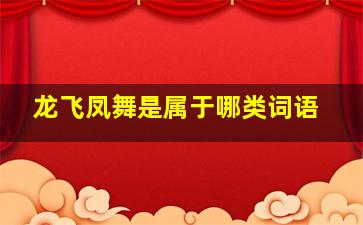 龙飞凤舞是属于哪类词语